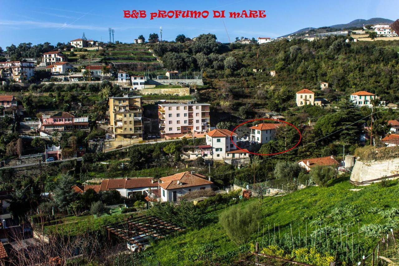 Bed and Breakfast Profumo Di Mare Free Private Parking Included Sanremo Exterior foto